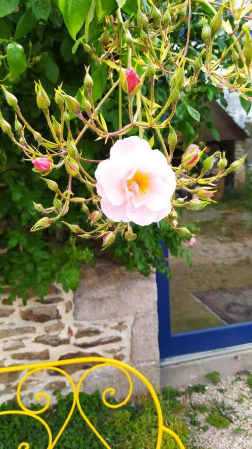 Bed and Breakfast Ker Anahid - L'Atelier Pleslin-Trigavou Exterior foto